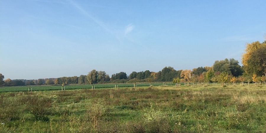 ländliche Wohnidylle